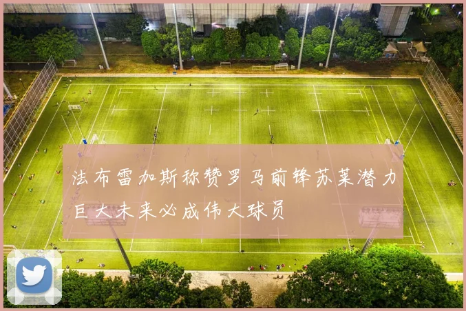 法布雷加斯称赞罗马前锋苏莱潜力巨大未来必成伟大球员