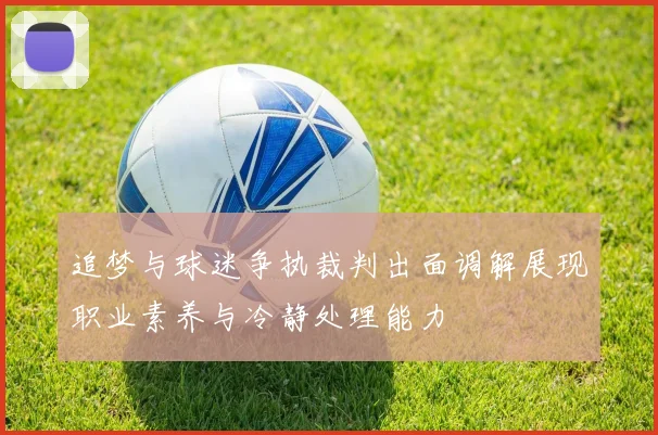 追梦与球迷争执裁判出面调解展现职业素养与冷静处理能力