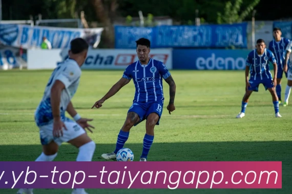 太阳城平台生态图